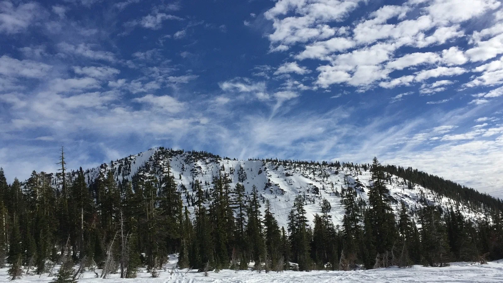 The Venus Retreat · Mount Shasta with Paul