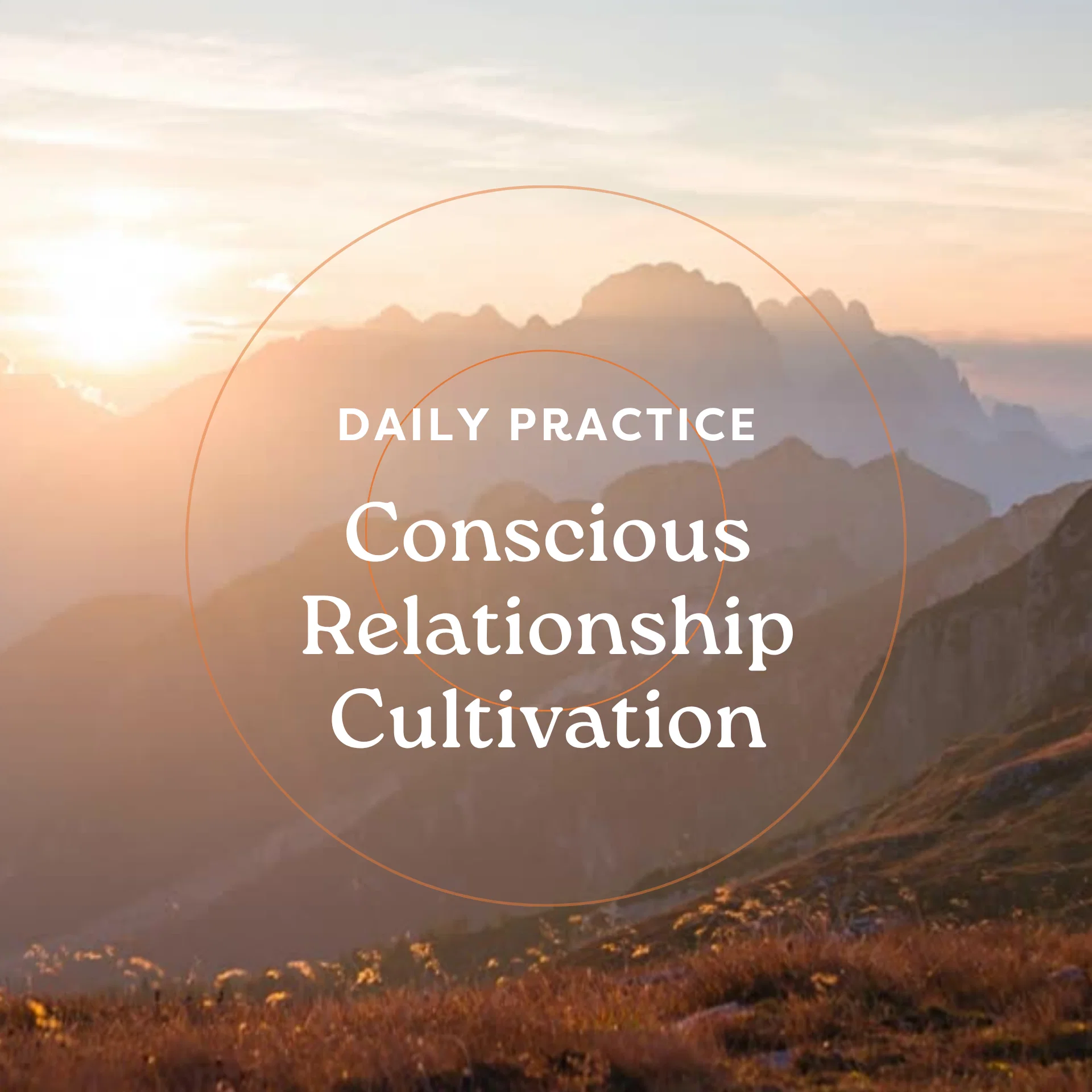 Conscious Relationship Cultivation