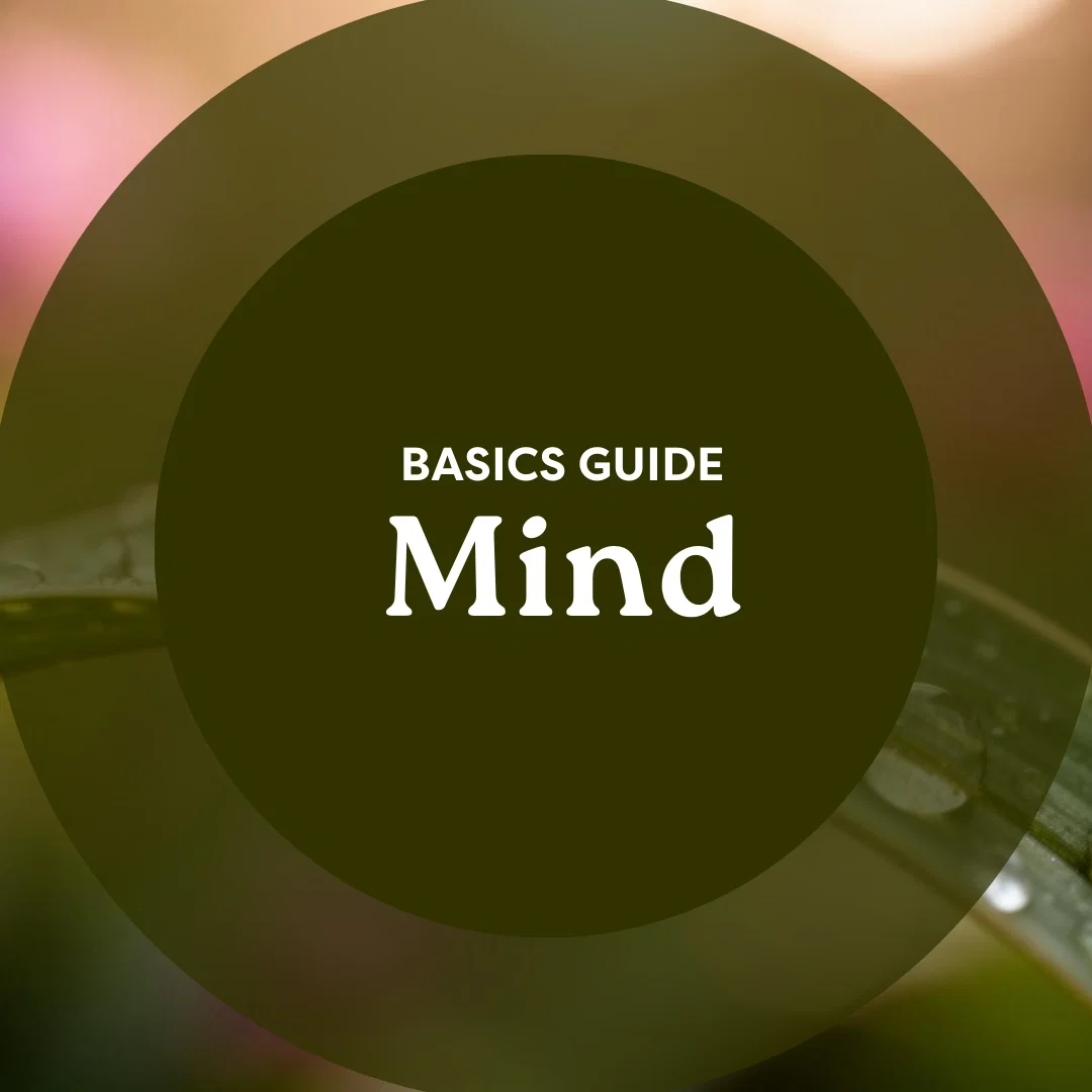 Mind Basics Guide