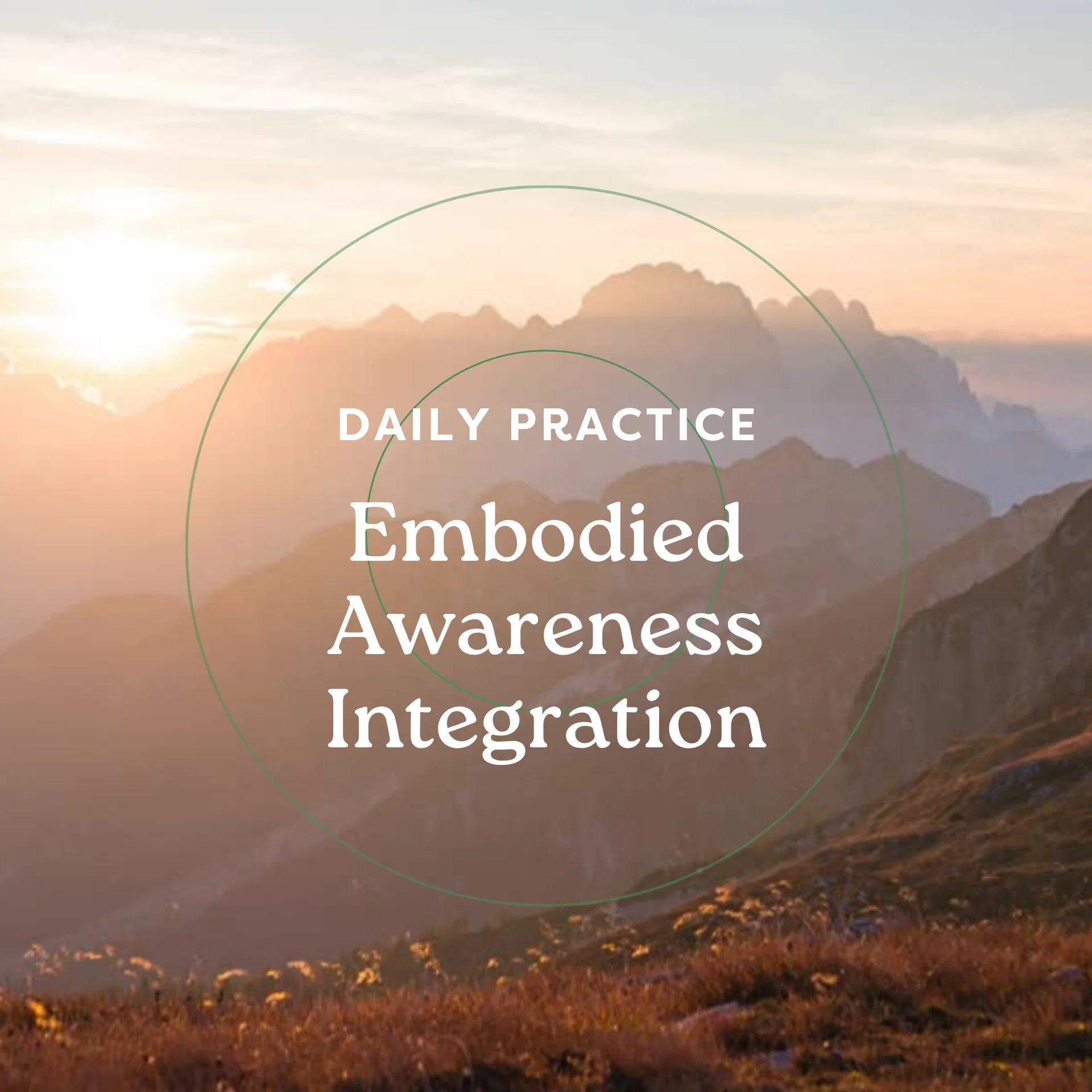 Embodied Awareness Integration