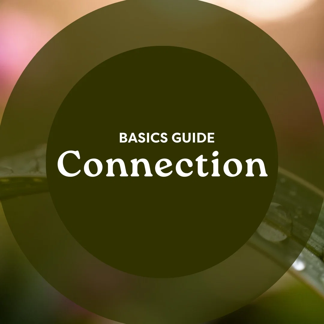 Connection Basics Guide
