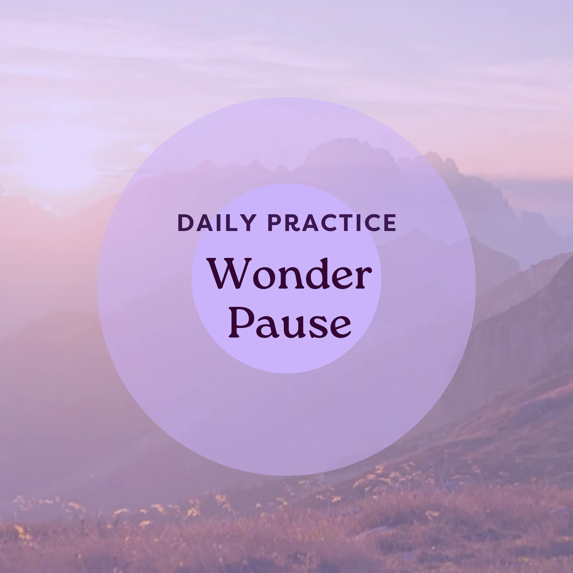 Wonder Pause