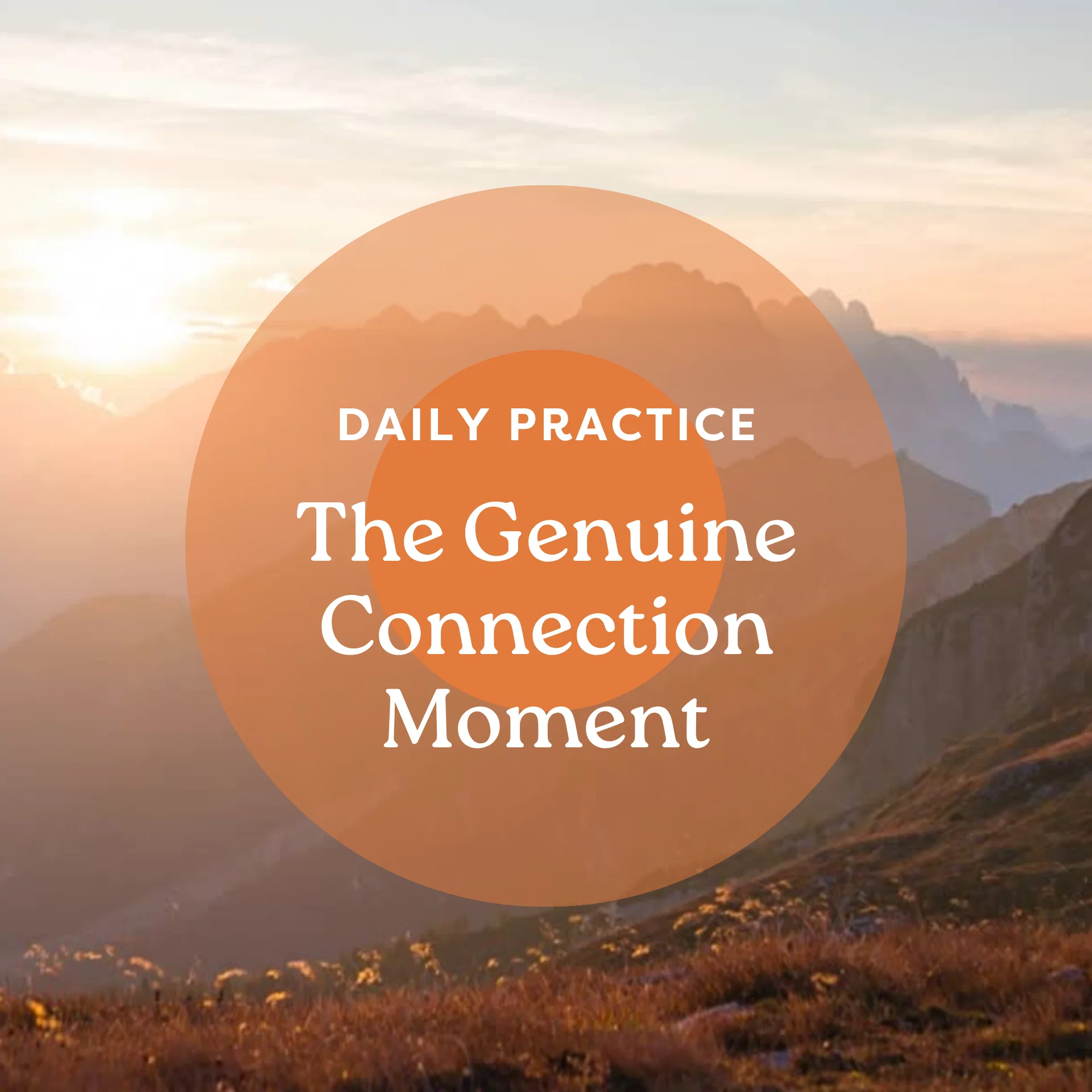 The Genuine Connection Moment: Your Daily Practice