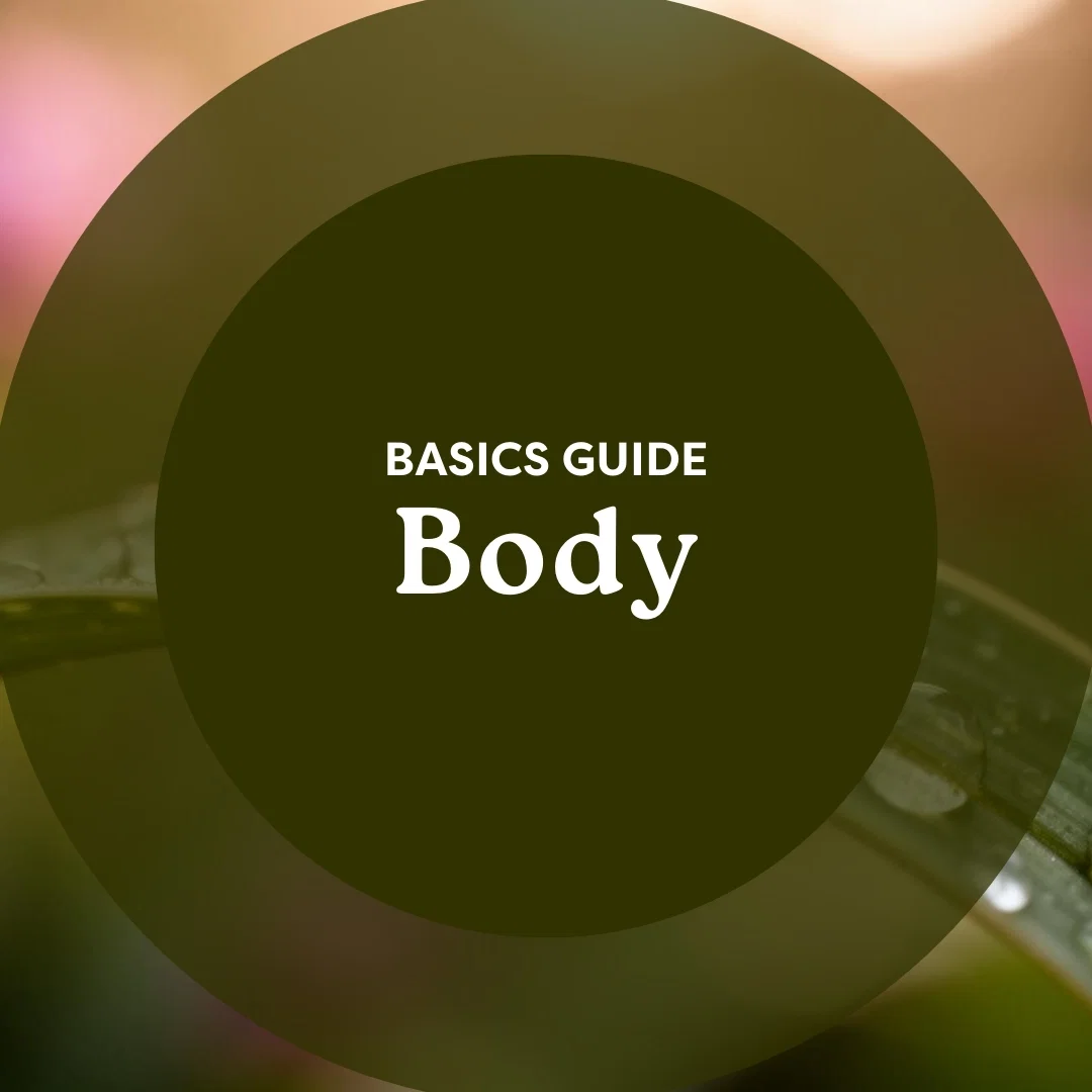 Body Basics Guide